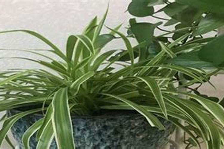农村坐北朝南的房子,入客厅的门偏右,北墙在客厅的中间,挂啥山水画好