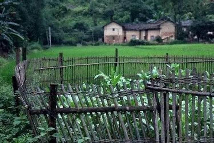 (求风水)南北院,住宅里种桃树适合吗？