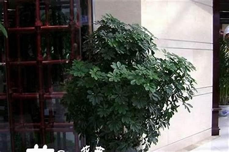 沈万三的墓地在哪里