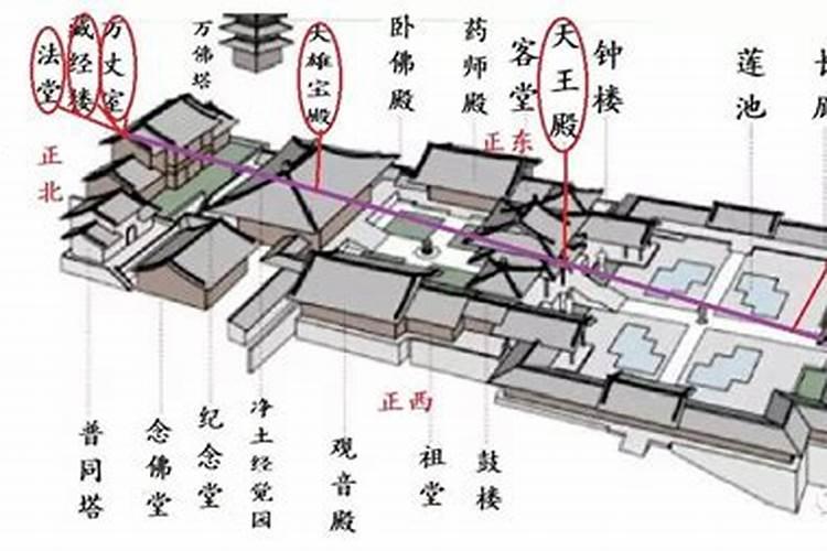 发财树放办公室哪里最旺财 发财树放办公室什么地方最旺财