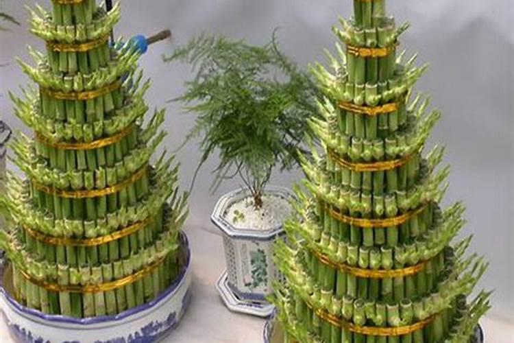 风水师拜师给师傅什么礼物