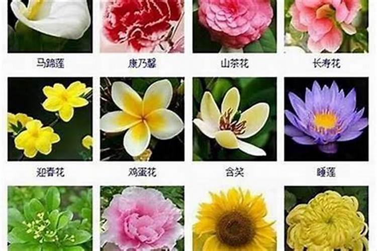 朱元璋小时候的故事