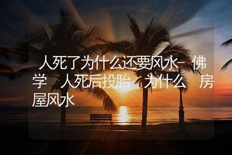 求类似《迷糊仙女闯江湖》的小说
