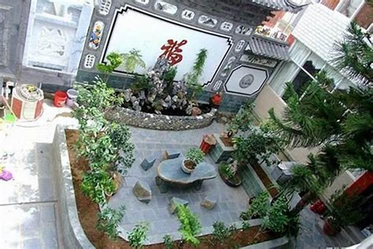 家居风水庭院果树种植位置