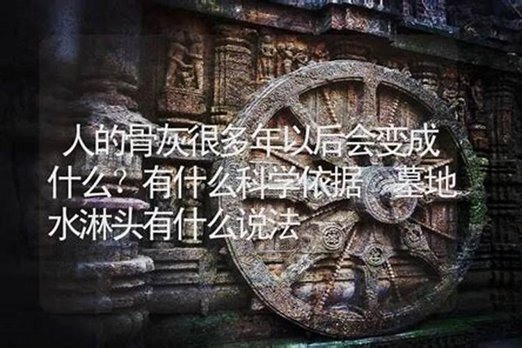 天煞啥是天煞地煞