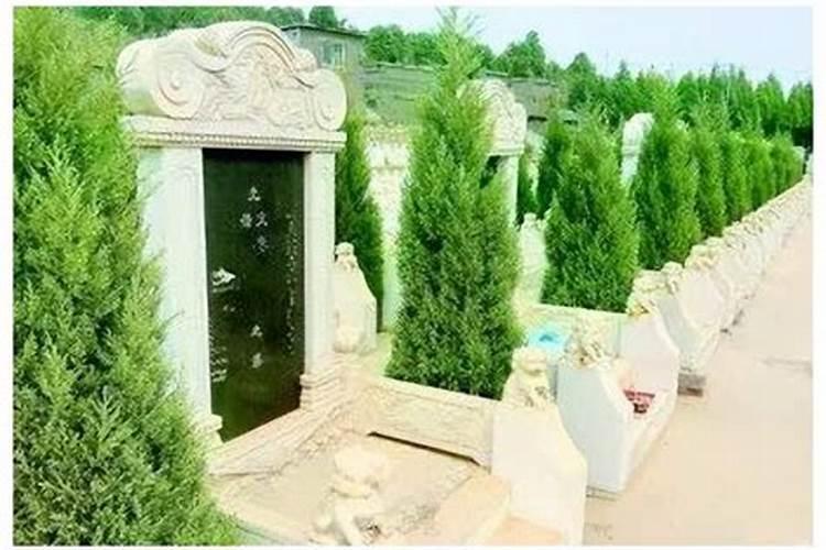属蛇男人和属猴女人相配吗