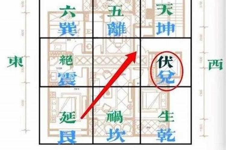 九宫飞星个人排盘,九宫命格分析