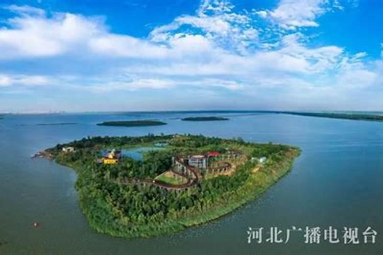 自家院子种桃树有风水禁忌吗？