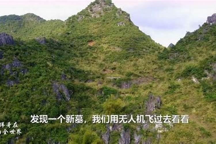 徐从桉是真的厉害吗