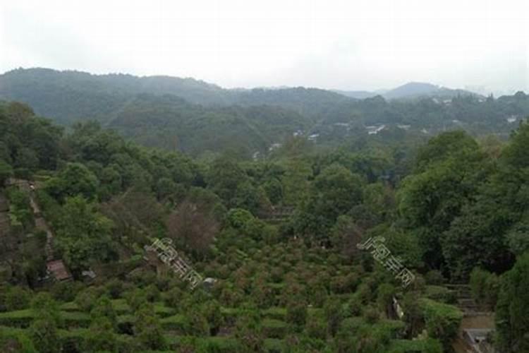 通向阁楼的楼梯是挨着沙发好还是电视墙好