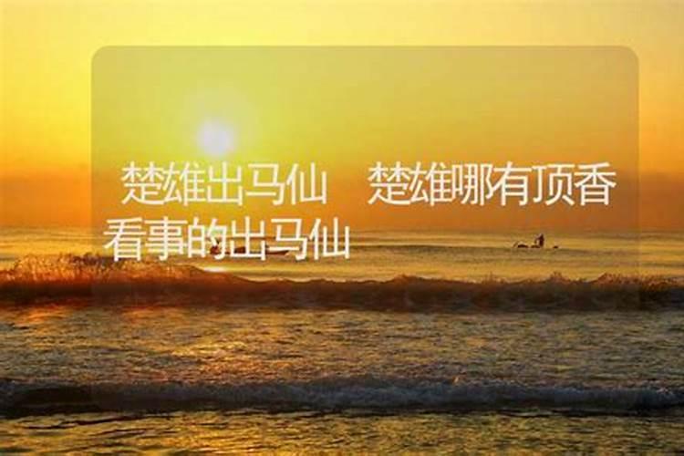 楚雄万景平山院子值得买吗？