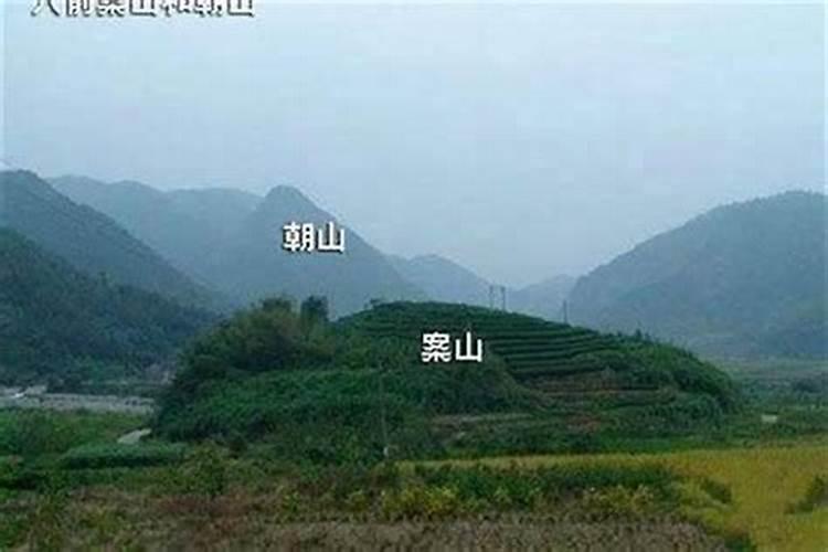 介绍楚王陵的作文五百字左右