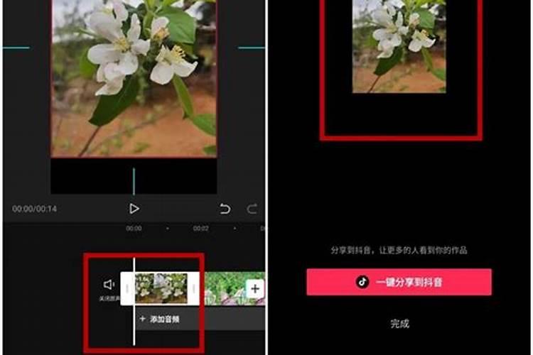 九宫飞星的作用与用途