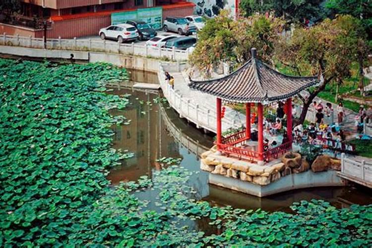 余深详细资料大全