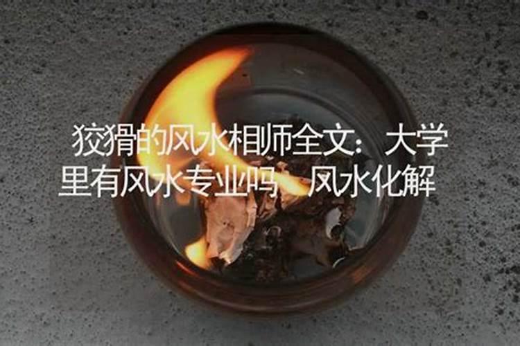 大学里有风水专业吗