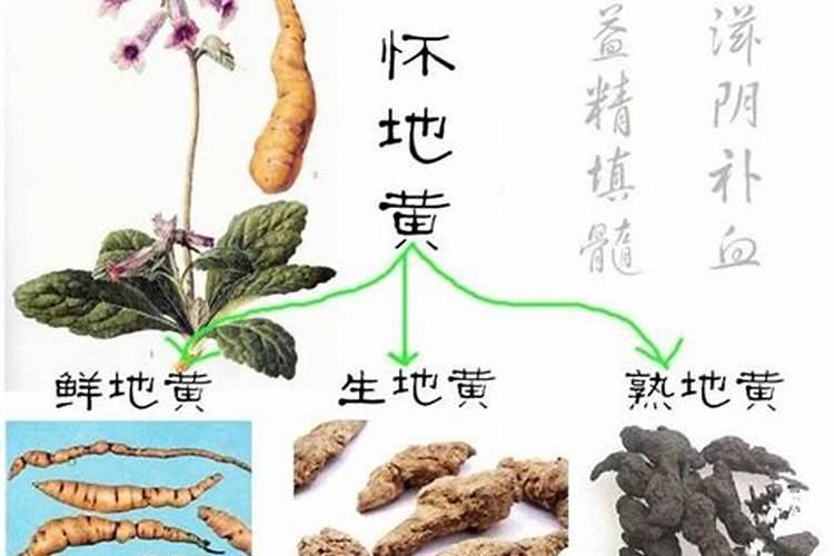 郎中是中国古代对什么职业的称谓？