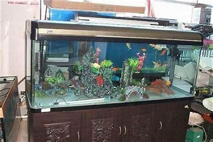 青龙鱼风水作用