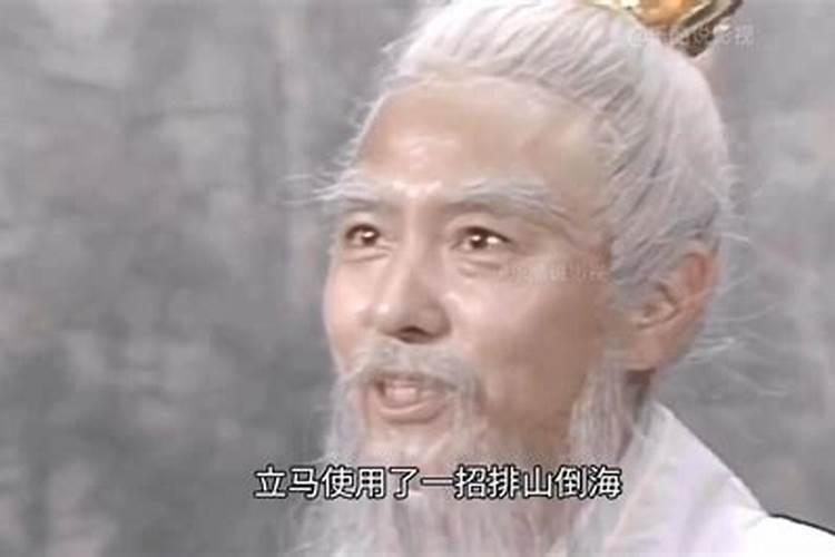 双子座最喜欢养的宠物是什么