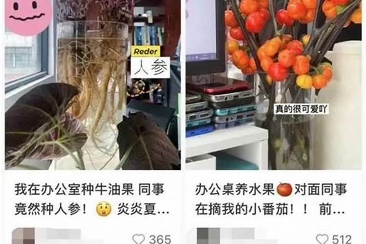 竹子围栏一般有多少年寿命