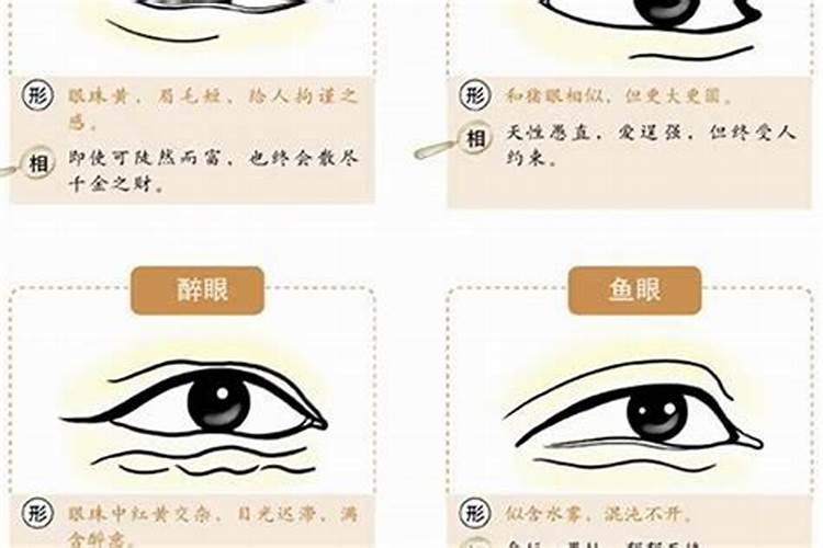 眼睛风水里代表什么意思