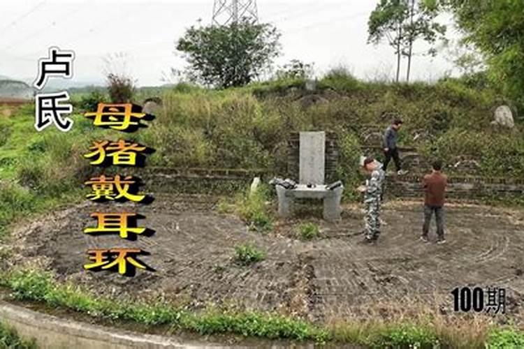 墓地风水的文化内涵 好风水墓地的明显特征