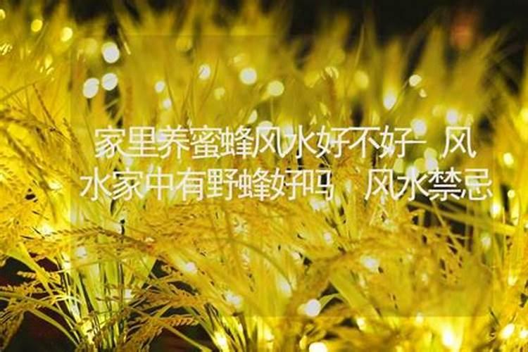 墓地可以转让吗 手续怎么办