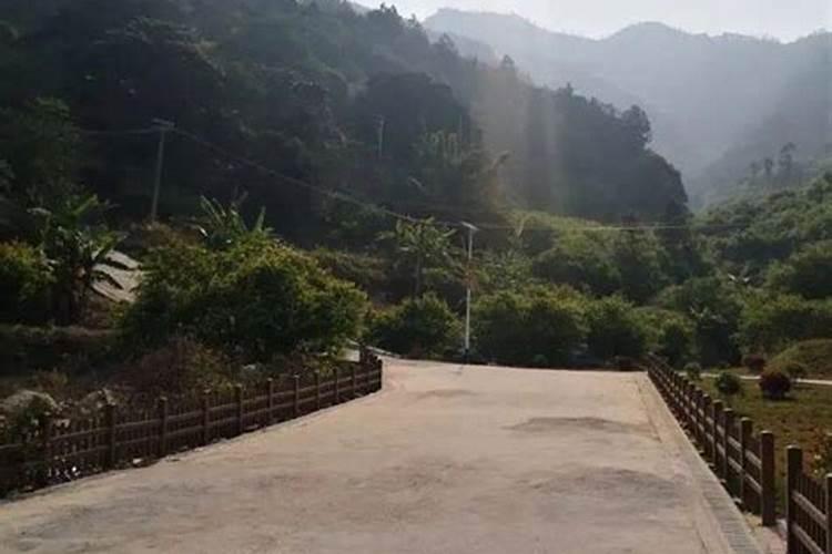 绿植放办公桌左边还是右边好