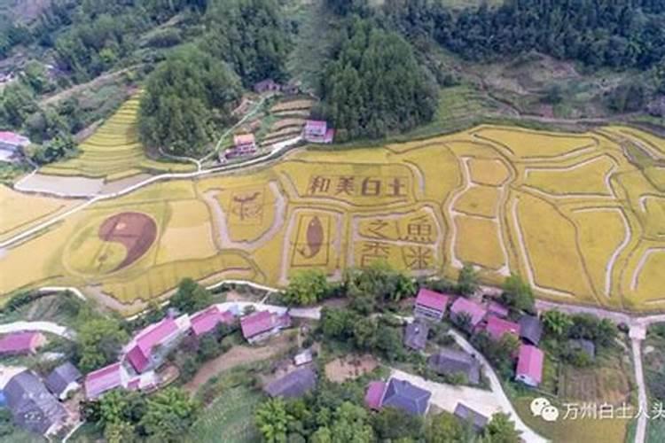 中国最权威的风水师是谁？有详细资料介绍吗