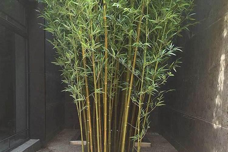 林则徐墓景点简介