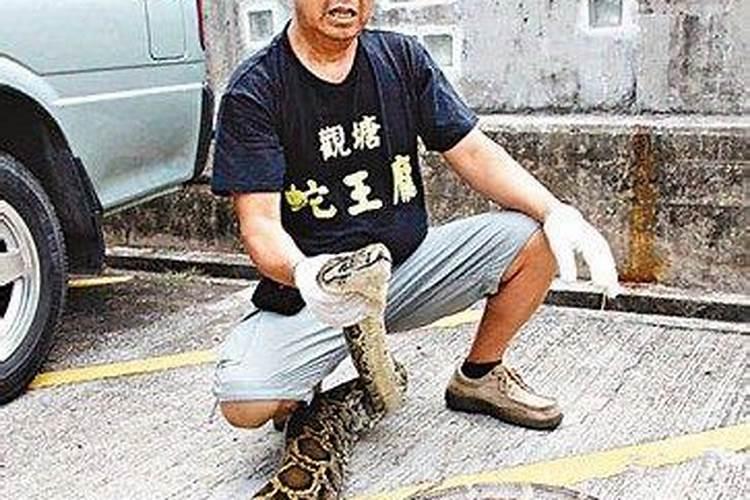 住宅背后有条河的风水怎么样