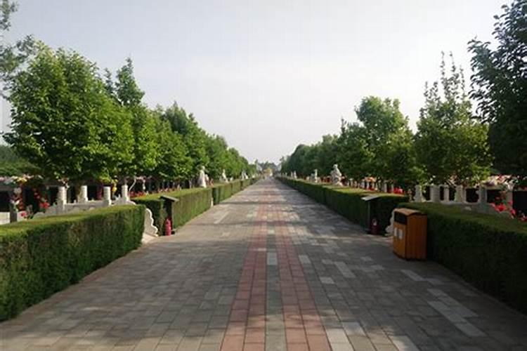 去墓地影响运势吗,请问亲人的墓地能影响家人的运势吗