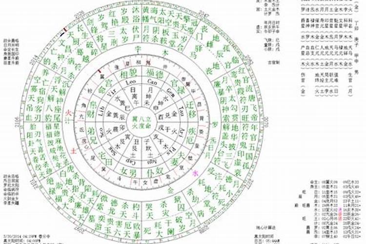 什么花盆养花最旺财气好