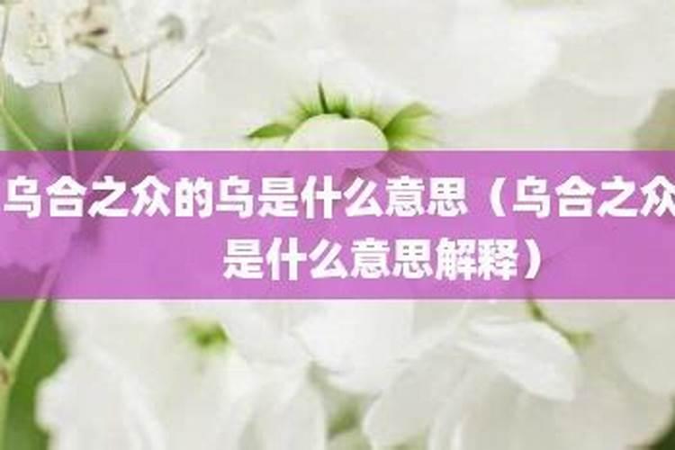 历史上智商最高的十大人物你会怎么排？