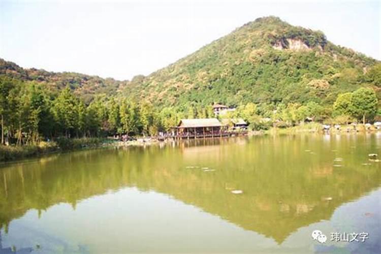 学风水入门看什么书籍