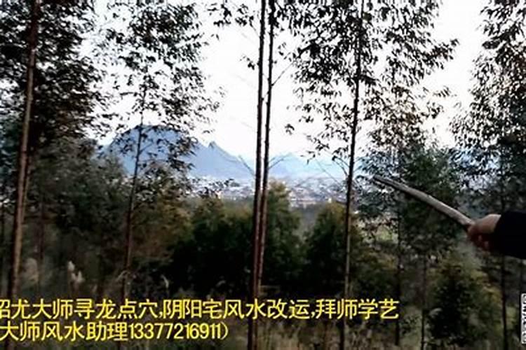 风水大师是什么？