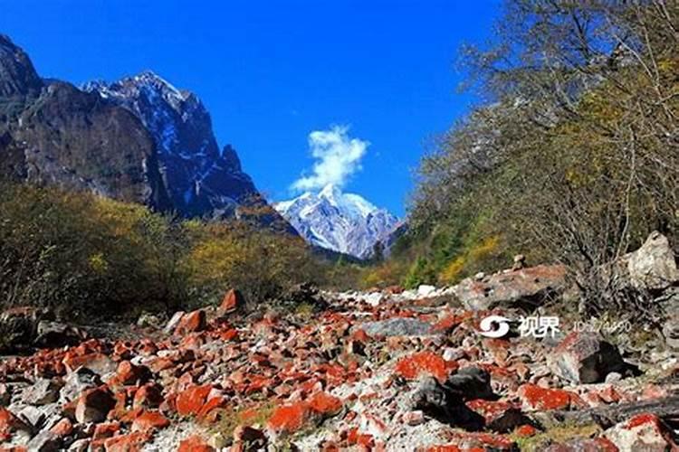 请问风水大师们:燕子在大厅正中,神位上方垒窝好吗？