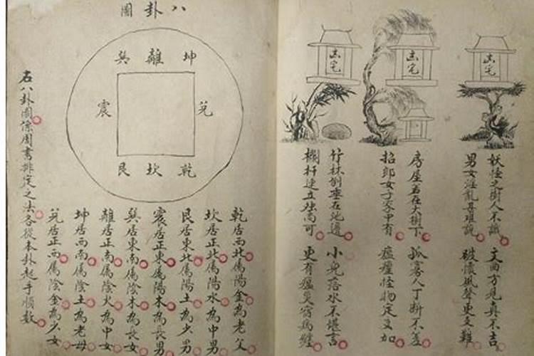 中间户为什么不能要