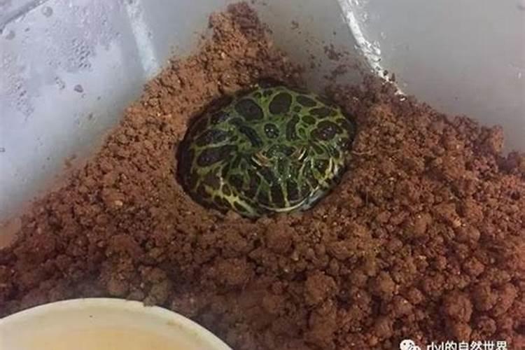 什么是暗门 暗门有什么功能 如何设计