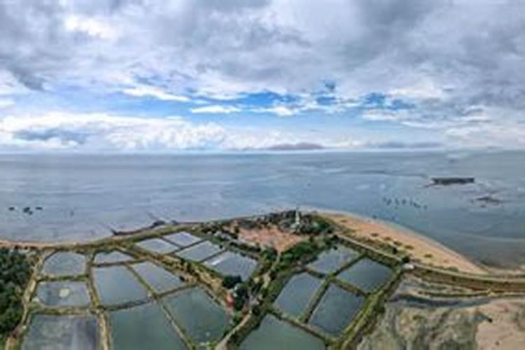 深圳坂田有什么好玩的地方