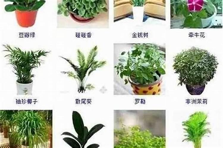 阳宅风水怎么选择,才能旺运又旺宅!