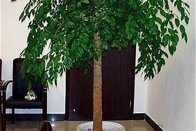 在风水学说中,是窗不能改门还是门不能改窗？