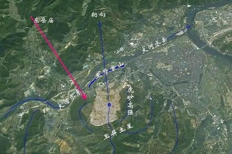 费翔老婆是谁费翔结婚了吗 图揭杨澜和费翔为什么分手