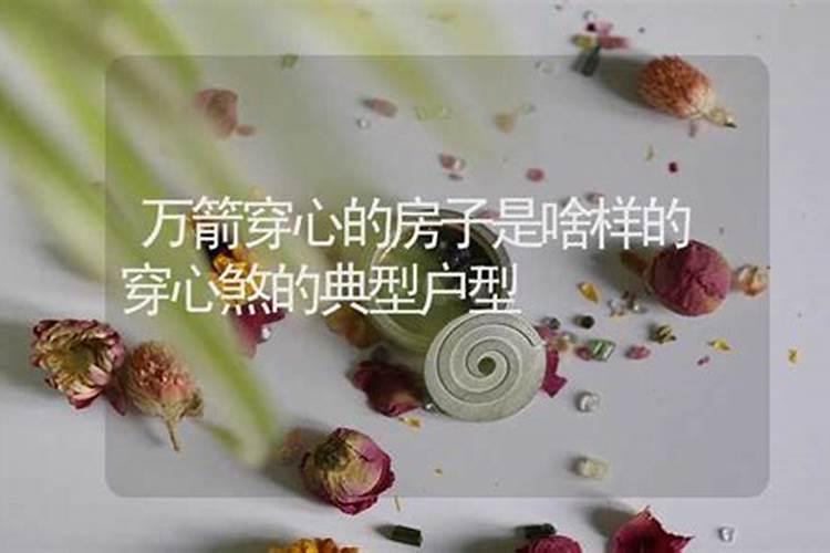 别墅庭院树木风水讲究有哪些？