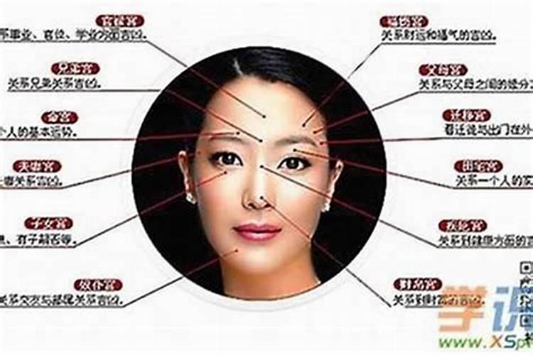 周易,算命,风水,测字,手相,属于道教学还是儒教学？