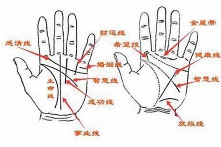 如何从自己的手相知道未来的婚姻状况及命运？
