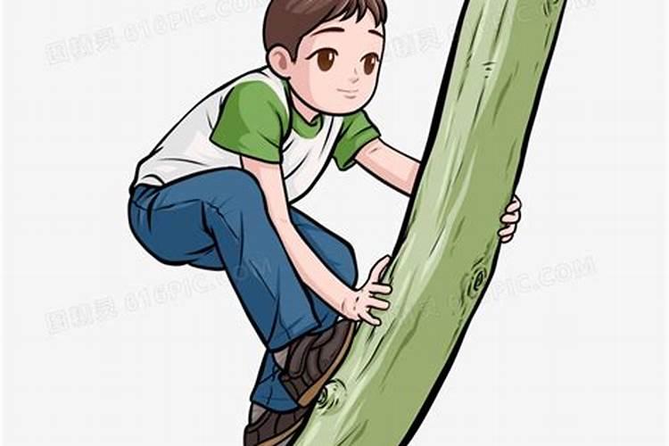 为什么说看风水的人对自己不好,学风水对自己不好吗