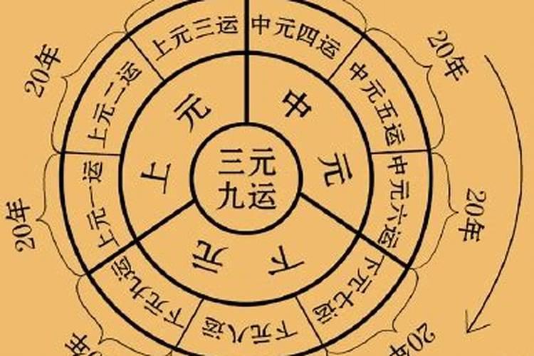 墓地适合种什么树