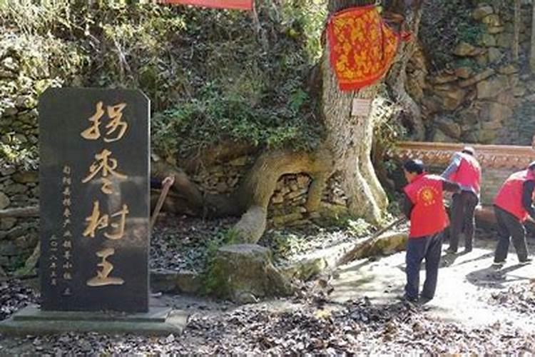 慧缘大师的学术成就和著作有哪些？