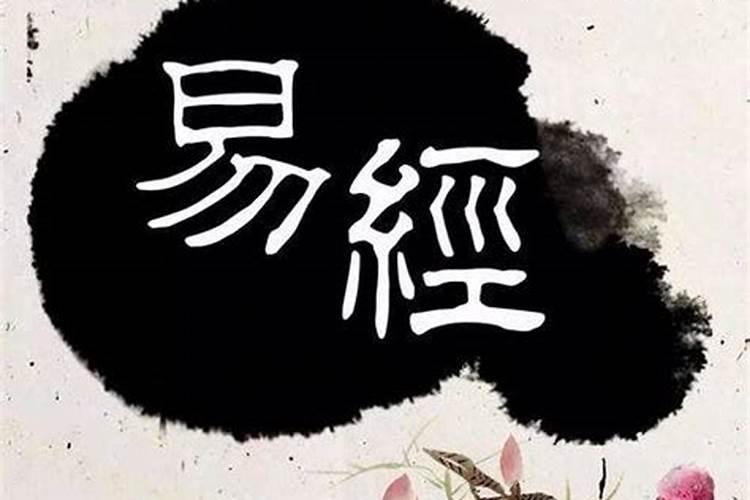 地师有几个女主角,结局圆满吗？
