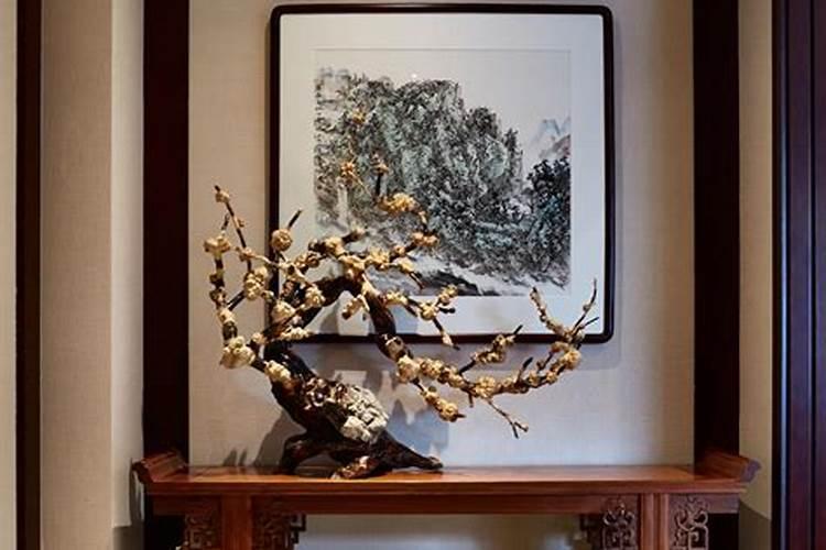 玄关什么绿植最旺宅;玄关摆什么花卉最吉祥